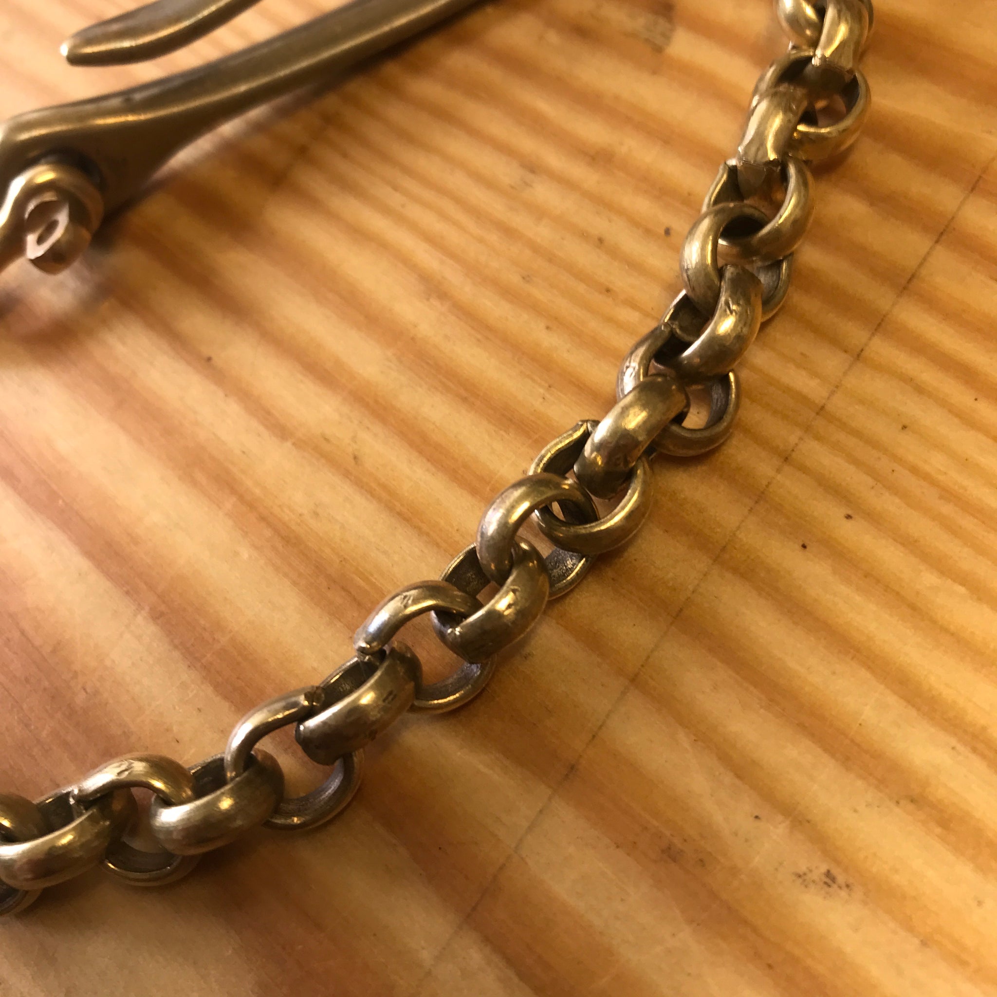 Wallet Chain with Fish Hook